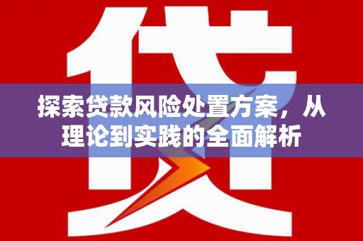高淳探索贷款风险处置方案，从理论到实践的全面解析