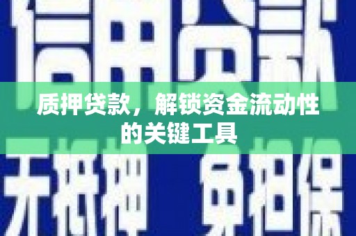 高淳质押贷款，解锁资金流动性的关键工具