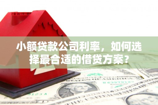 高淳小额贷款公司利率，如何选择最合适的借贷方案？