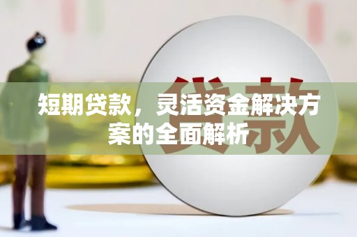 高淳短期贷款，灵活资金解决方案的全面解析
