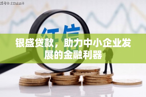 高淳银盛贷款，助力中小企业发展的金融利器