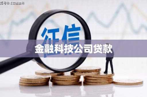 高淳金融科技公司贷款
