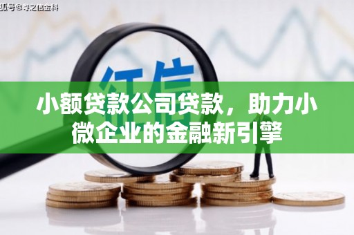 高淳小额贷款公司贷款，助力小微企业的金融新引擎