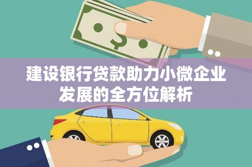 高淳建设银行贷款助力小微企业发展的全方位解析