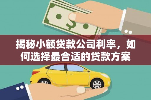 高淳揭秘小额贷款公司利率，如何选择最合适的贷款方案
