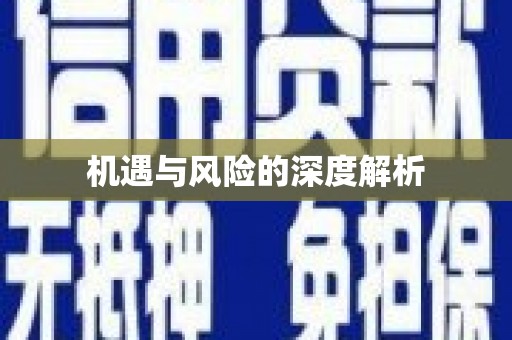 高淳机遇与风险的深度解析