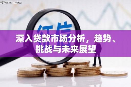 高淳深入贷款市场分析，趋势、挑战与未来展望