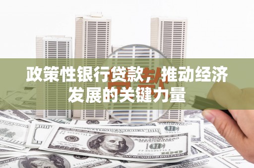 高淳政策性银行贷款，推动经济发展的关键力量
