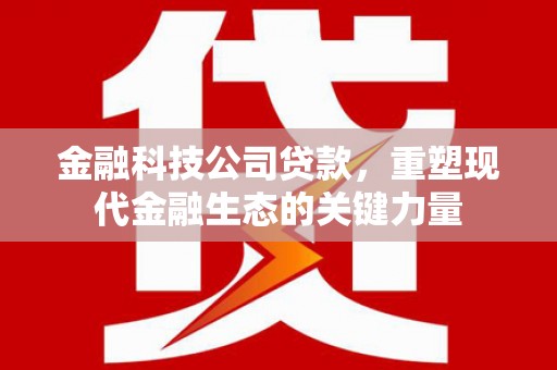 高淳金融科技公司贷款，重塑现代金融生态的关键力量