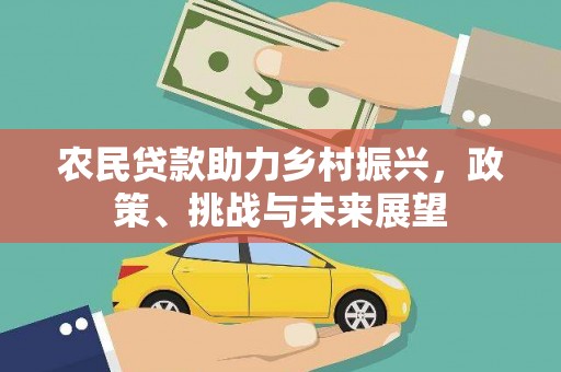 高淳农民贷款助力乡村振兴，政策、挑战与未来展望