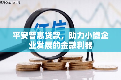 高淳平安普惠贷款，助力小微企业发展的金融利器