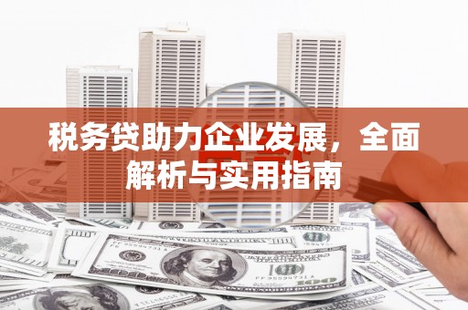 高淳税务贷助力企业发展，全面解析与实用指南