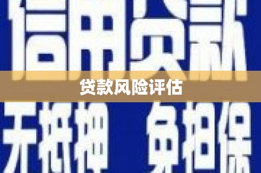 高淳贷款风险评估