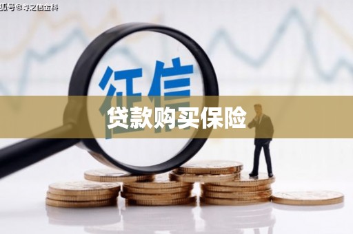 高淳贷款购买保险