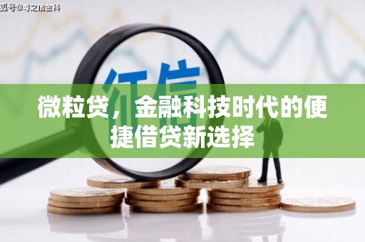 高淳微粒贷，金融科技时代的便捷借贷新选择