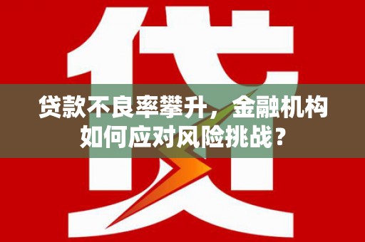 高淳贷款不良率攀升，金融机构如何应对风险挑战？