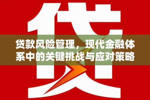 高淳贷款风险管理，现代金融体系中的关键挑战与应对策略