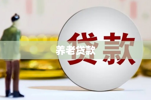 高淳养老贷款
