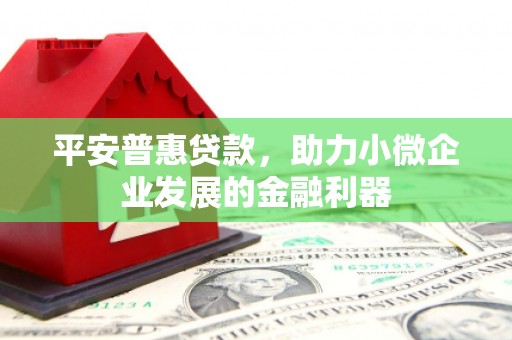 高淳平安普惠贷款，助力小微企业发展的金融利器