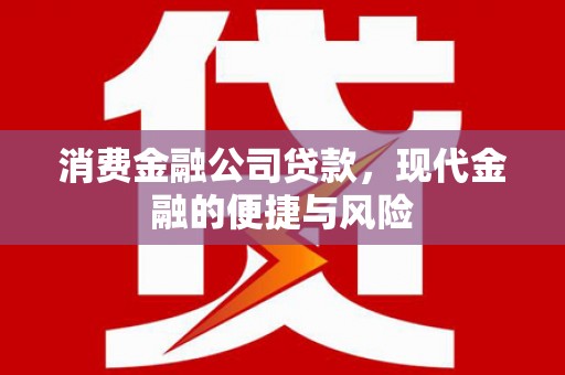 高淳消费金融公司贷款，现代金融的便捷与风险