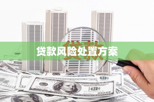 高淳贷款风险处置方案