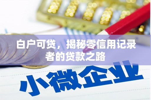 高淳白户可贷，揭秘零信用记录者的贷款之路