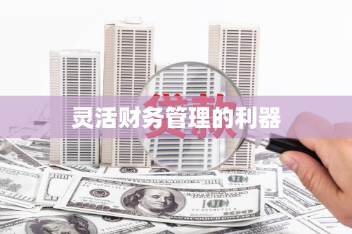 高淳灵活财务管理的利器