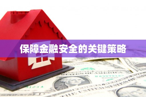 高淳保障金融安全的关键策略