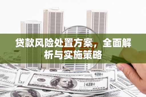高淳贷款风险处置方案，全面解析与实施策略