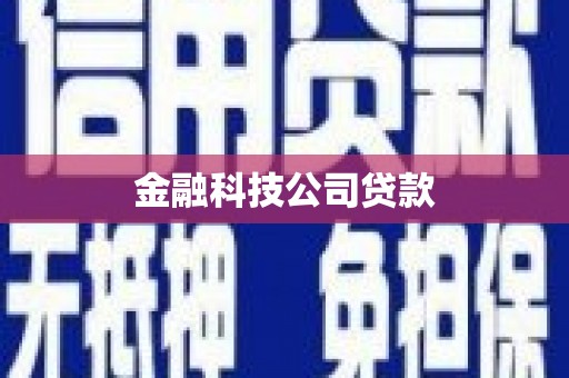 高淳金融科技公司贷款